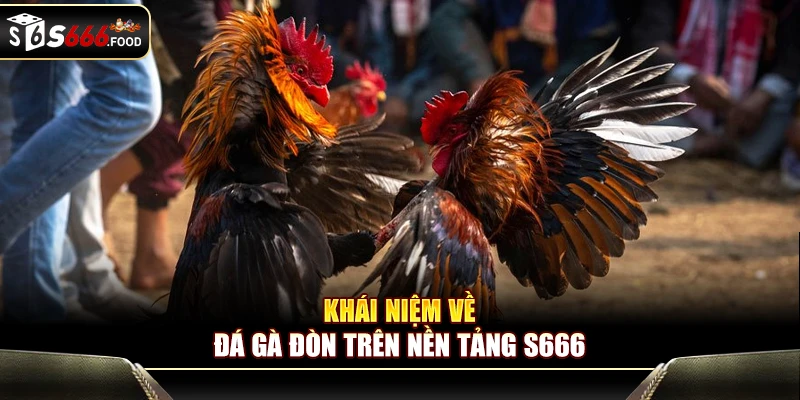 Khái niệm về đá gà đòn trên nền tảng S666