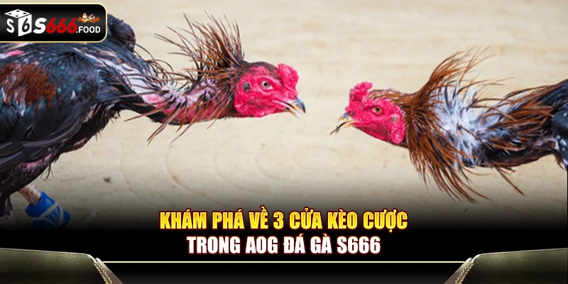 Minh họa để hiểu rõ hơn về ba cửa kèo AOG Đá Gà S666