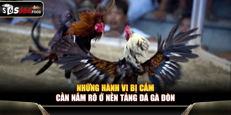 Những hành vi bị cấm cần nắm rõ ở nền tảng đá gà đòn