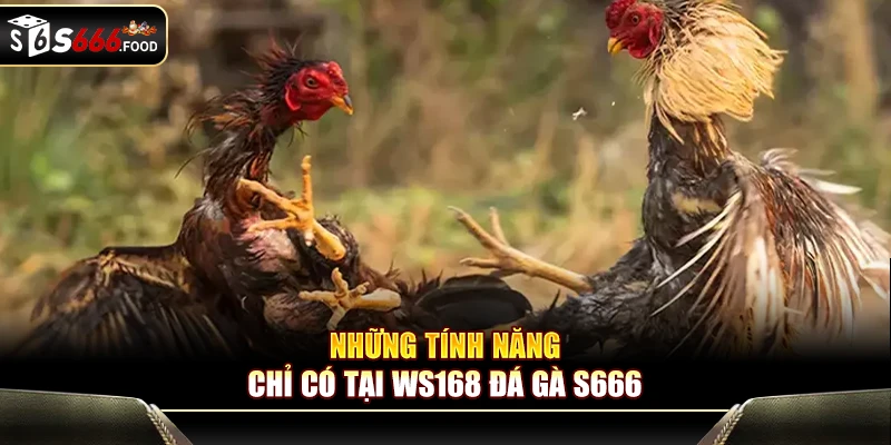Tính năng độc quyền nổi bật chỉ có tại WS168 đá gà S666