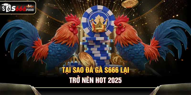 Tại sao đá gà S666 lại trở nên hot 2025