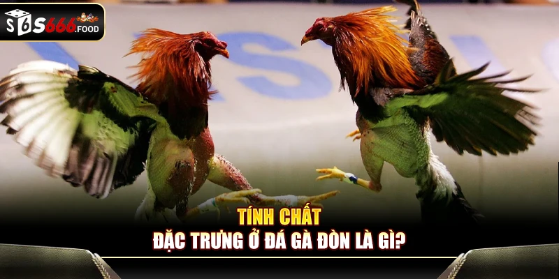 Tính chất đặc trưng ở đá gà đòn là gì?