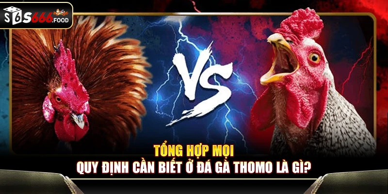 Tổng hợp mọi quy định cần biết ở đá gà Thomo là gì?