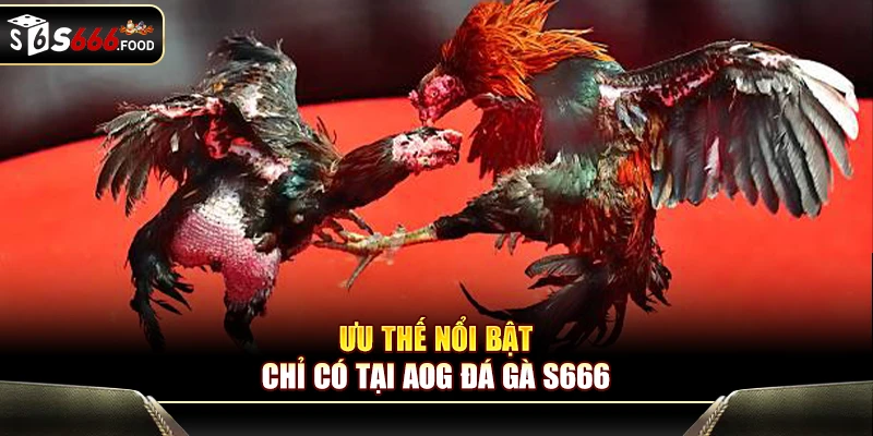 Nền tảng đã thiết kế bắt mắt cho chính người trải nghiệm